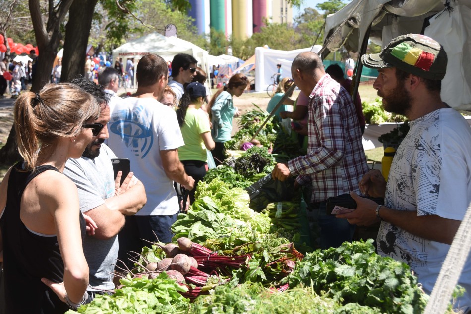 167722 | Ferias de Economía Social -
