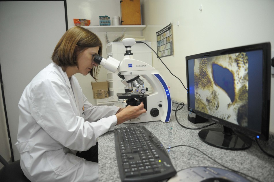 314524 | triquinosis - Sec. de Salud Pública (Guillermo Fernández)