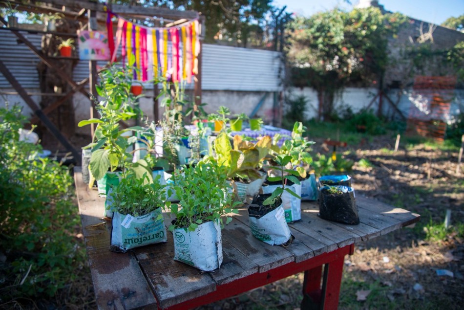316858 |  - Secretaría de Salud Pública