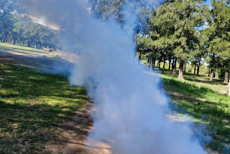 620832 | Avanzan los operativos de fumigación en plazas y espacios verdes  - Secretaría de Ambiente y Espacio Público