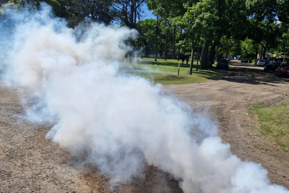 620838 | Avanzan los operativos de fumigación en plazas y espacios verdes  - Secretaría de Ambiente y Espacio Público