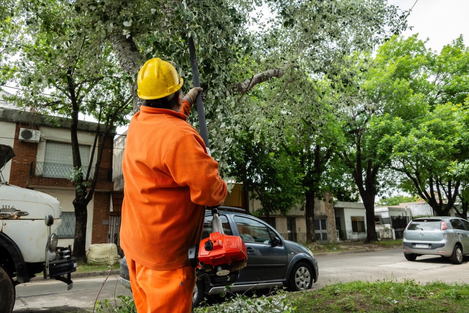 624423 |  - Municipalidad de Rosario